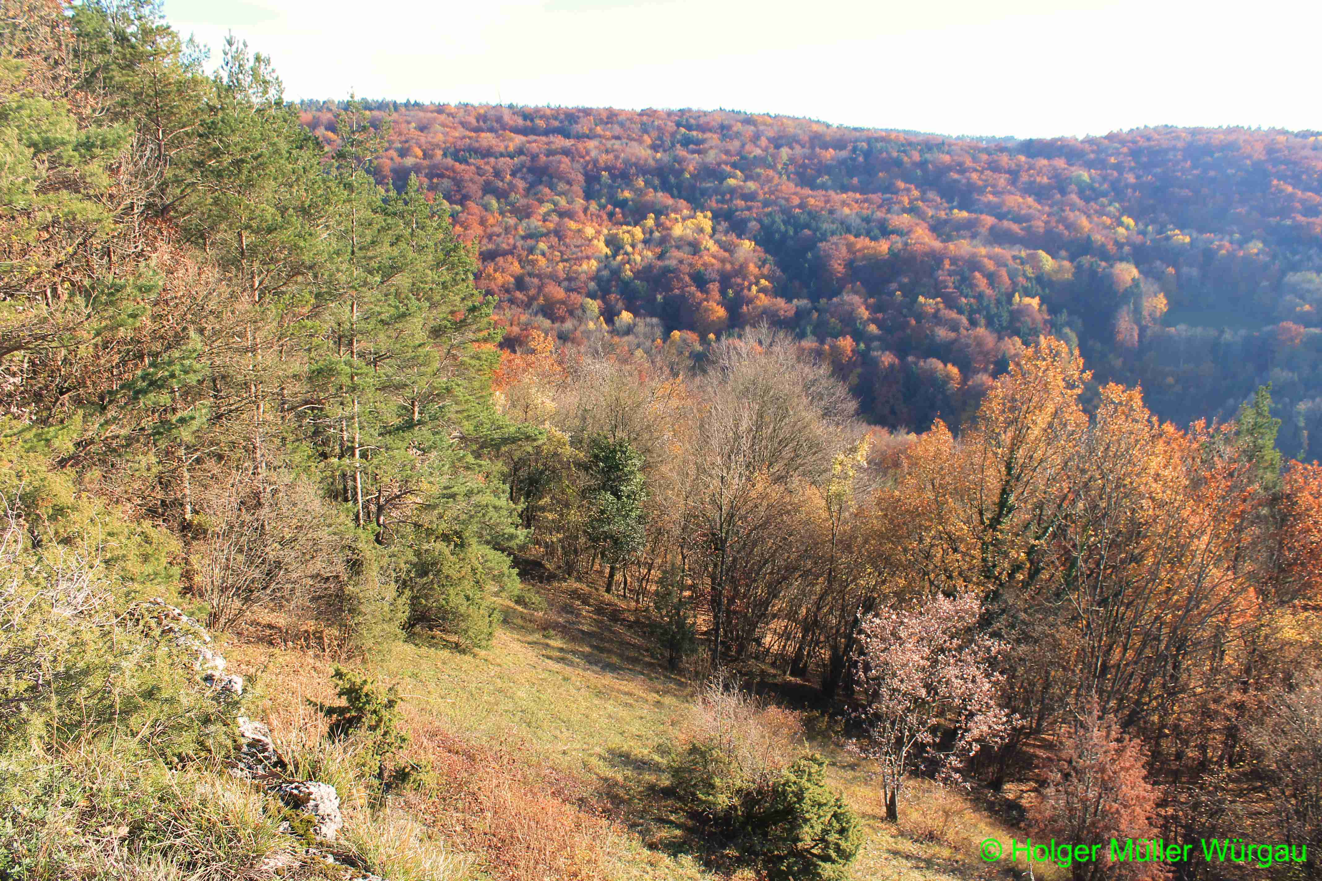 Herbst in der Frnkischen Schweiz nhe Wrgau